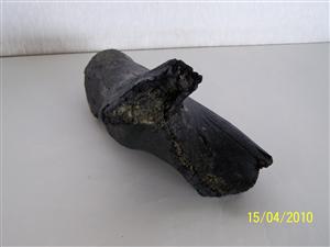 CEMEX_0299: Fossilised Animal Bone